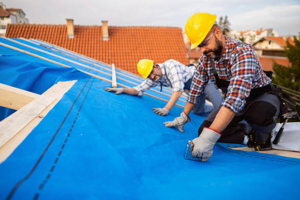 Roof Gutter Cleaning in Midway, NC